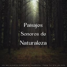 Paipaisajes Sonoros De Naturaleza: Un Relajante Ambiente Forestal Para Tu Día De Spa - Sonidos épicos de la naturaleza