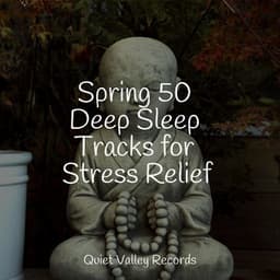 Spring 50 Deep Sleep Tracks for Stress Relief - Sample Rain Library