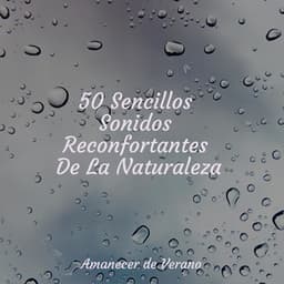 50 Sencillos Sonidos Reconfortantes De La Naturaleza - Bedtime Baby
