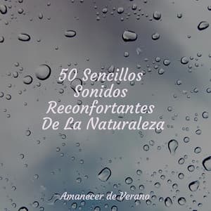 50 Sencillos Sonidos Reconfortantes De La Naturaleza - Bedtime Baby