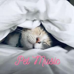 Relaxing Music for Pets - Pet Music
