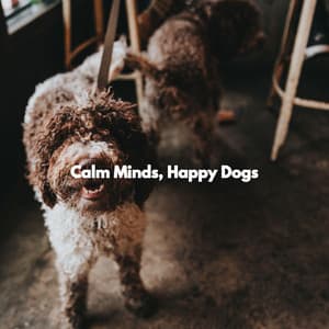 Calm Minds, Happy Dogs - Productivity Music