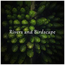 Rivers and Birdscape - Reiki Tribe