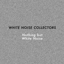 Nothing but White Noise - White Noise Collectors