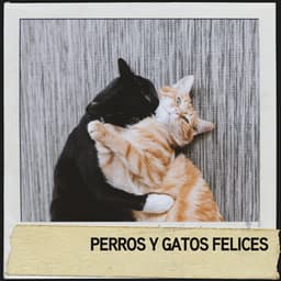Perros y Gatos Felices: sonidos relajantes para amigos peludos - Relajacion