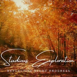 MindfulAcuity: Meditative Melodies for Studious Exploration - Afternoon Meditation Music Vibes
