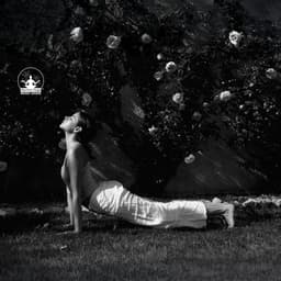 Light Pours Through the Spine - Mantra Yoga Music Oasis