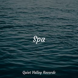 Spa - Rain Sounds Factory STHLM