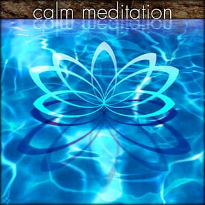 Calm Meditation - Calm Meditation