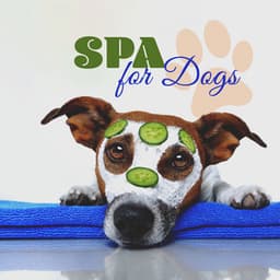 Spa for Dogs: Pampering Time for Dogs, Relaxation Music, Dog SPA Music - Pet Relax Academy