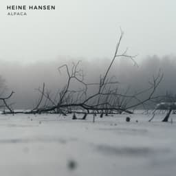 Alpaca - Heine Hansen