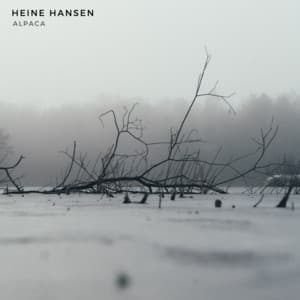 Alpaca - Heine Hansen