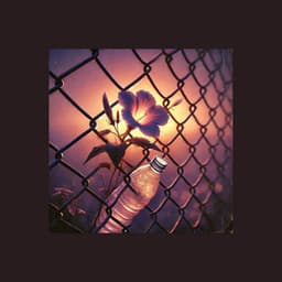 Cosmic Elevator to the Chill Zone - Tropical Chill Zone