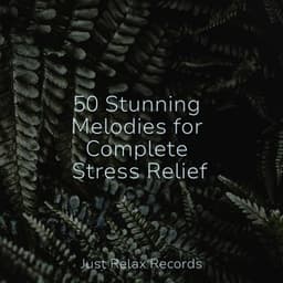 50 Stunning Melodies for Complete Stress Relief - Chinese Relaxation and Meditation