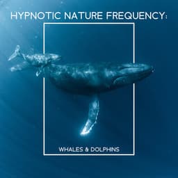 Hypnotic Nature Frequency: Whales & Dolphins - Mothers Nature Music Academy