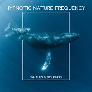 Hypnotic Nature Frequency: Whales & Dolphins - Mothers Nature Music Academy