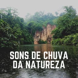 Sons de Chuva da Natureza - Sons da natureza HD