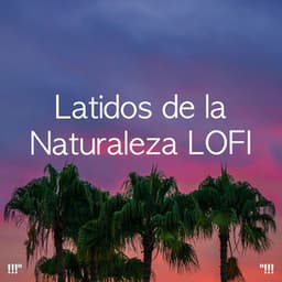 !!!" LOFI Nature Beats "!!! - Chillhop Music