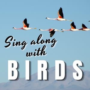 Sing along with Birds - Bird Sounds