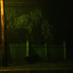 RuidoBranco e Chuva Agora - Ruído Branco