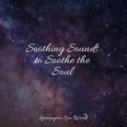 Soothing Sounds to Soothe the Soul - Natural Sample Makers