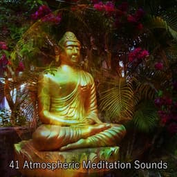 41 Atmospheric Meditation Sounds - Study Concentration
