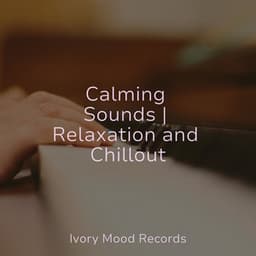 Calming Sounds | Relaxation and Chillout - Ivory Mood