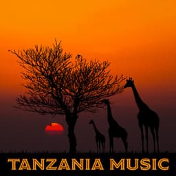 Tanzania Music - Katarzyna Mazur
