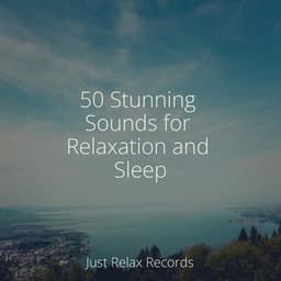 50 Stunning Sounds for Relaxation and Sleep - Reiki Music