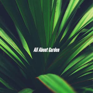 All About Garden - Restaurante Jazz Clásicos