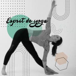 Esprit de yoga: Musique de relaxation, Endormissement, Anti-stress, Musique de méditation - Zone de Méditation Spirituelle