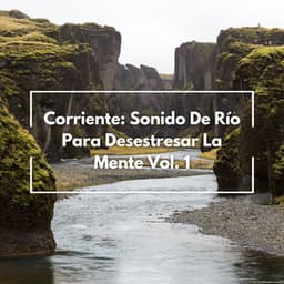 Corriente: Sonido De Río Para Desestresar La Mente Vol. 1 - Sonidos esenciales de la naturaleza