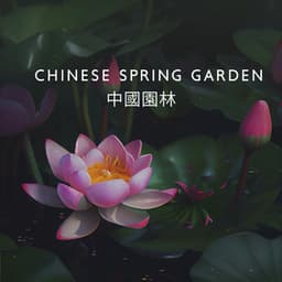 Chinese Spring Garden 中國園林 - Relaxing Chinese Background Music - Traditional Chinese Ambience – 中国氛围