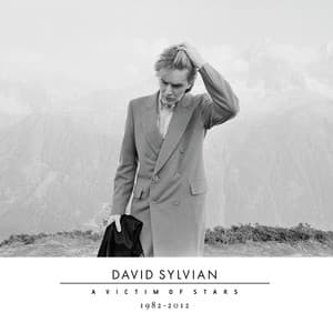 A Victim Of Stars 1982-2012 - David Sylvian