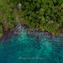 50 Estados De Ánimo Relajantes - Meditación Maestro