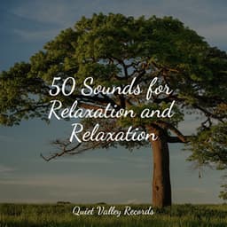 50 Sounds for Relaxation and Relaxation - Yoga Trainer