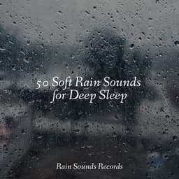 50 Soft Rain Sounds for Deep Sleep - Lightning, Thunder and Rain Storm