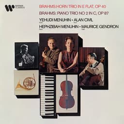 Brahms: Horn Trio, Op. 40 & Piano Trio No. 2, Op. 87 - Johannes Brahms
