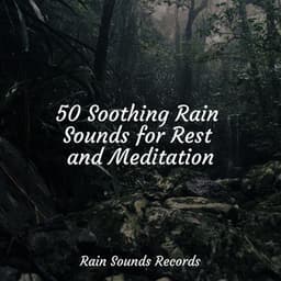 50 Soothing Rain Sounds for Rest and Meditation - Lucid Dreaming Music
