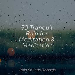 50 Tranquil Rain for Meditation & Meditation - Nature Sounds