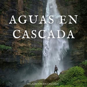 Aguas En Cascada: Relajación En Cascada - Sonidos de Cascadas