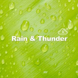 Puddle Reflections - Rain & Thunder