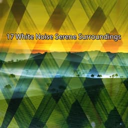 17 White Noise Serene Surroundings - White Noise Nature Sounds Baby Sleep