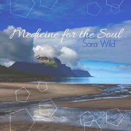 Medicine for the Soul - Sara Wild