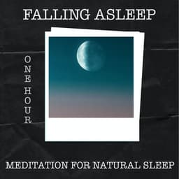 1 Hour of Fall Asleep Meditation for Natural Sleep - Deep Sleep Music