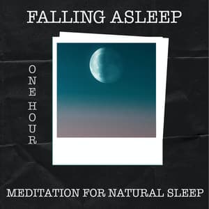 1 Hour of Fall Asleep Meditation for Natural Sleep - Deep Sleep Music