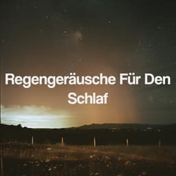 Regengeräusche Für Den Schlaf - Meditation Rain Sounds