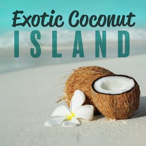 Exotic Coconut Island - Wellness Spa Sanctuary