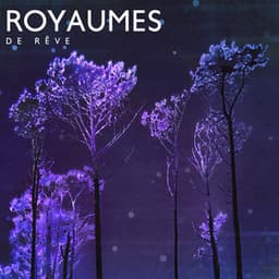 Royaumes de rêve - Zone de la Musique Relaxante