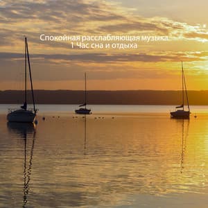 Спокойная расслабляющая музыка: 1 Час сна и отдыха - Академия глубокой релаксации